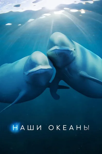 Фильм Наши океаны (2024)