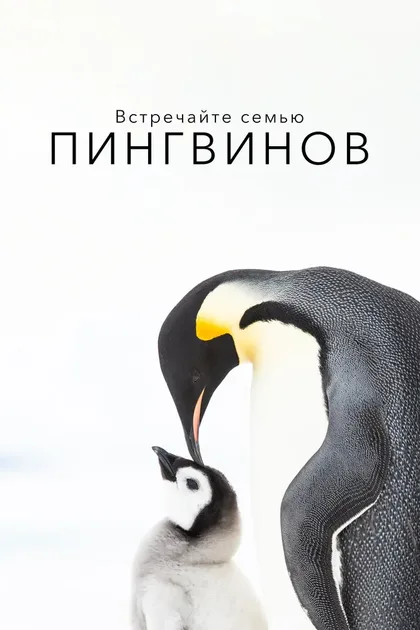 Фильм Встречайте семью пингвинов (2020)