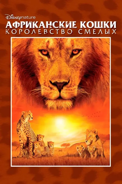 Фильм Африканские кошки: Королевство смелых (2010)