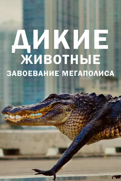 Фильм Дикие животные: Завоевание мегаполиса (2019)