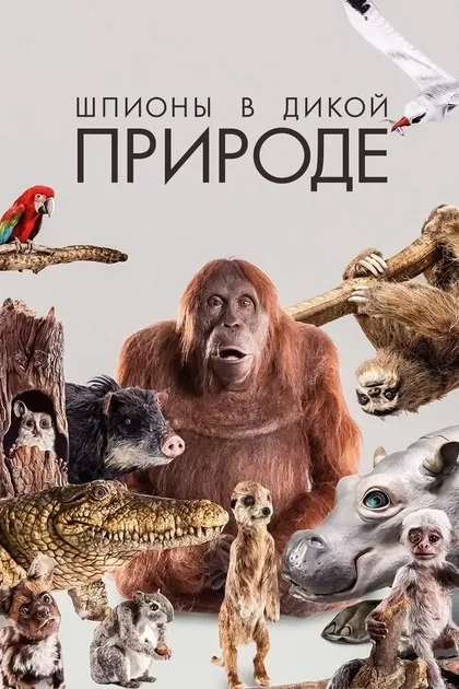 Фильм Шпионы в дикой природе (2017)