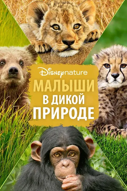 Фильм Малыши в дикой природе (2016) (2015)