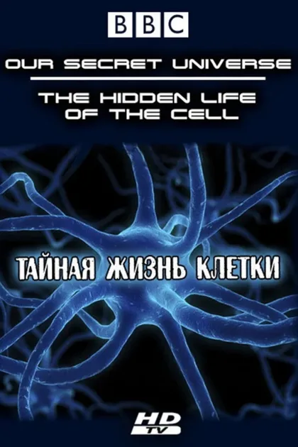 Фильм Внутренняя вселенная: Тайная жизнь клетки (2012)