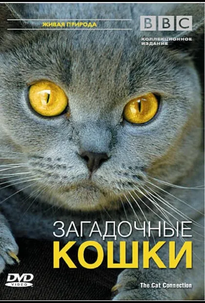 Фильм BBC: Загадочные кошки (2002)