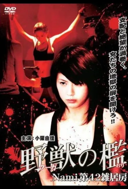 Фильм Бандитки в цепях (2007)