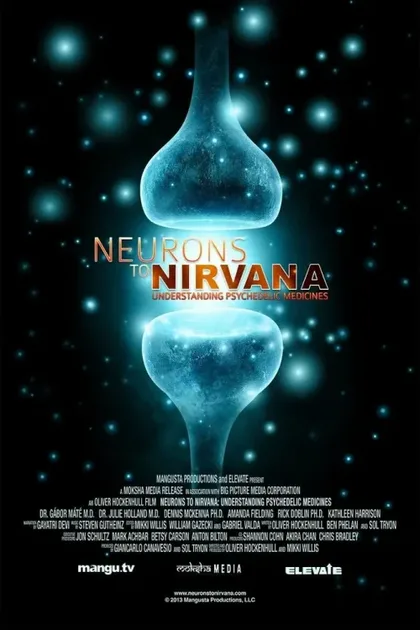 Фильм От нейронов к нирване: Медицинское применение психоделиков (2013)