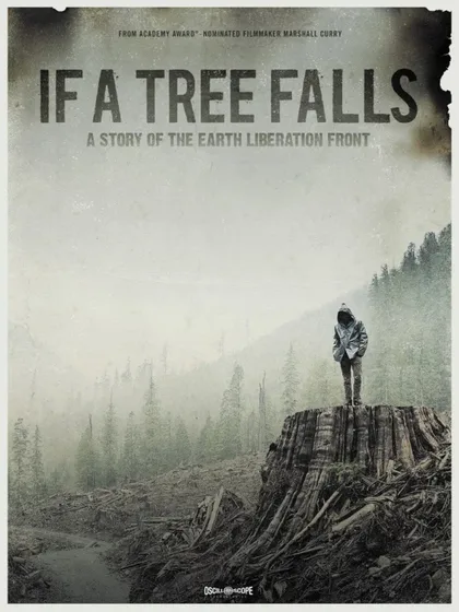 Фильм Если дерево упадет (2011)