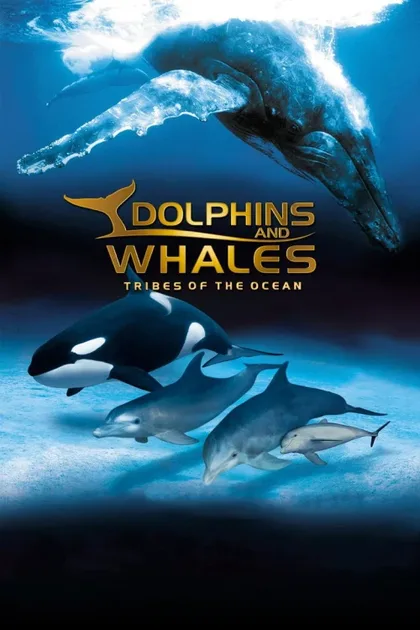 Фильм Дельфины и киты 3D (2008)