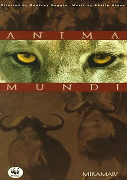 Фильм Душа мира (1991)