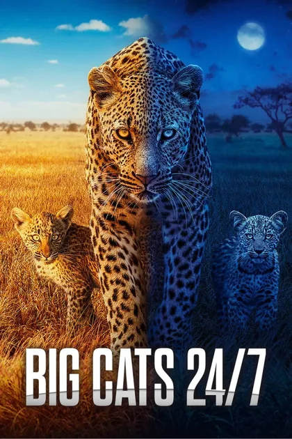 Фильм Большие кошки днём и ночью (2024)