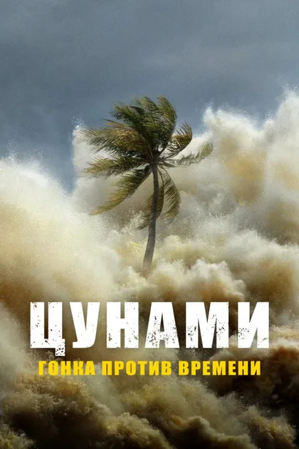 Фильм Цунами: Гонка против времени (2024)