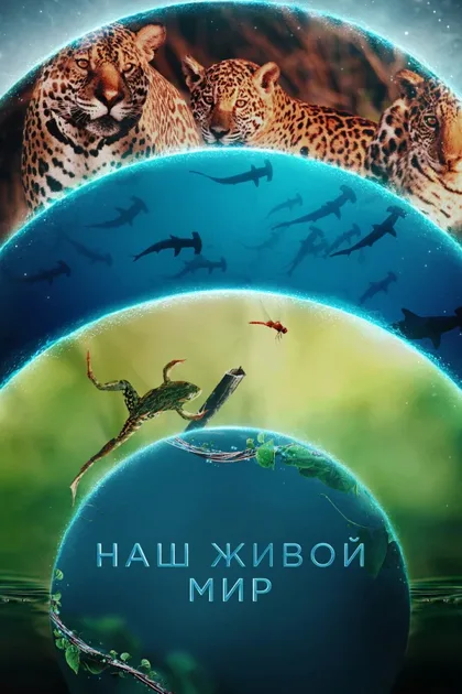 Фильм Наш живой мир (2024)