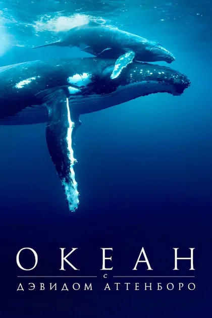 Фильм Дэвид Аттенборо: Океан (2025)