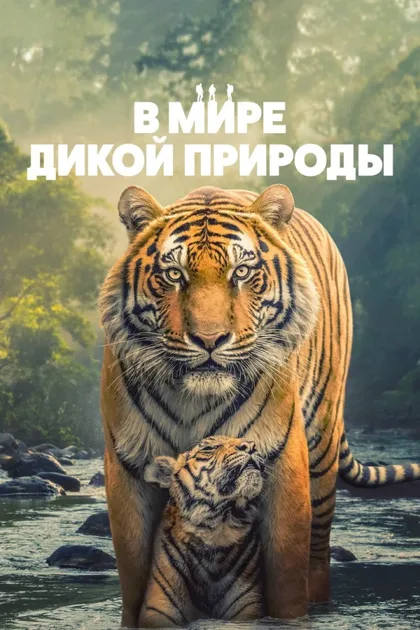 Фильм В мире дикой природы (2025)