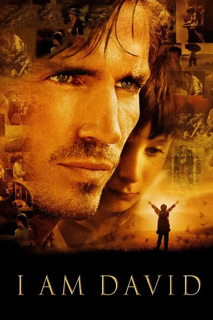 Фильм Меня зовут Дэвид (2003)