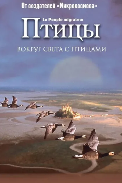 Фильм Птицы (2001)