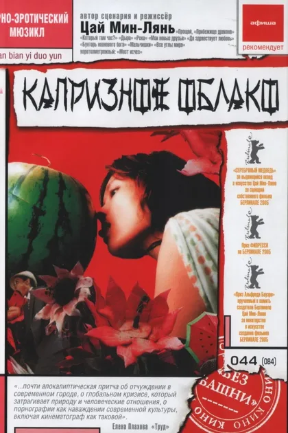 Фильм Капризное облако (2005)