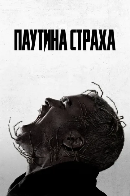 Фильм Паутина страха (2023)