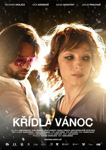 Фильм Крылатое Рождество (2013)