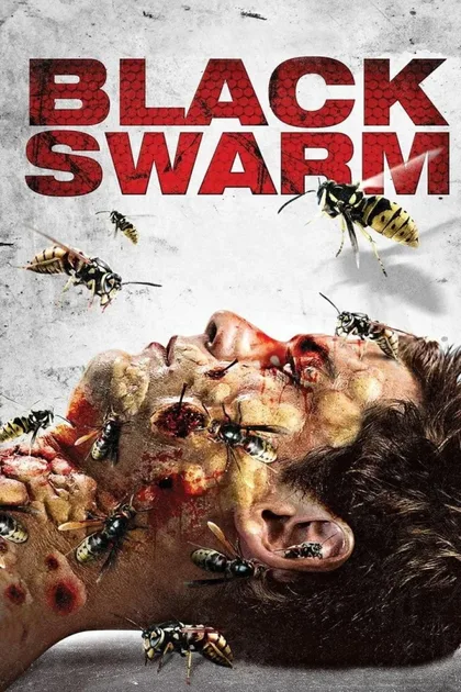 Фильм Черный рой (2007)