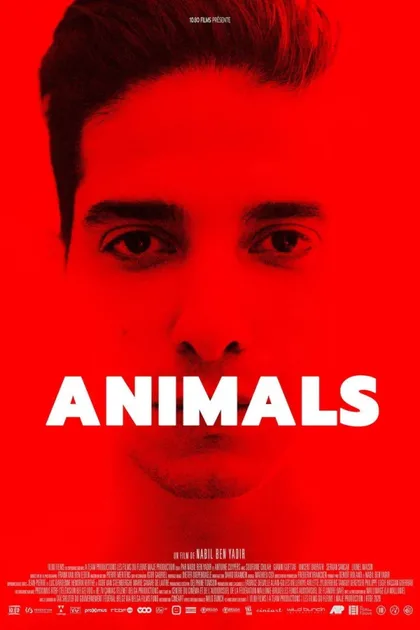 Фильм Животные (2021)