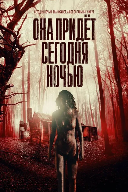 Фильм Она придёт сегодня ночью (2016)