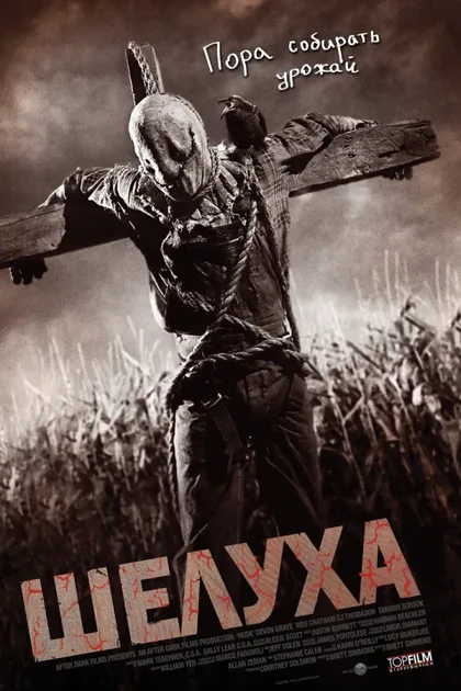 Фильм Шелуха (2010)