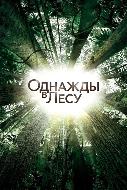 Фильм Однажды в лесу (2013)