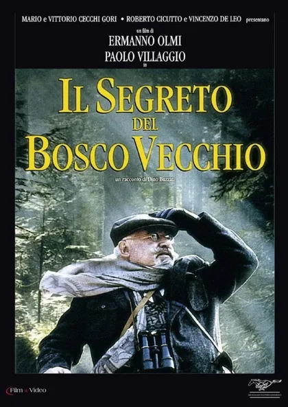 Фильм Тайна старого леса (1993)