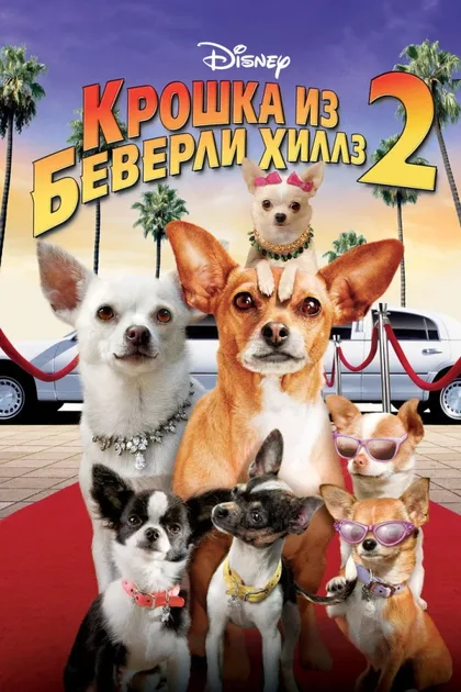 Фильм Крошка из Беверли-Хиллз 2 (2010)