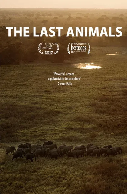 Фильм Последние животные (2017)