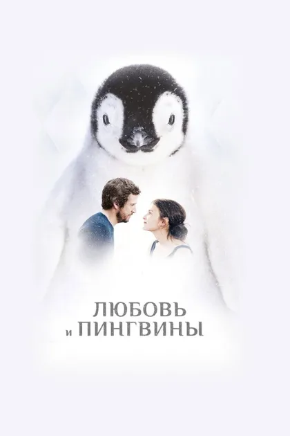 Фильм Любовь и пингвины (2016)