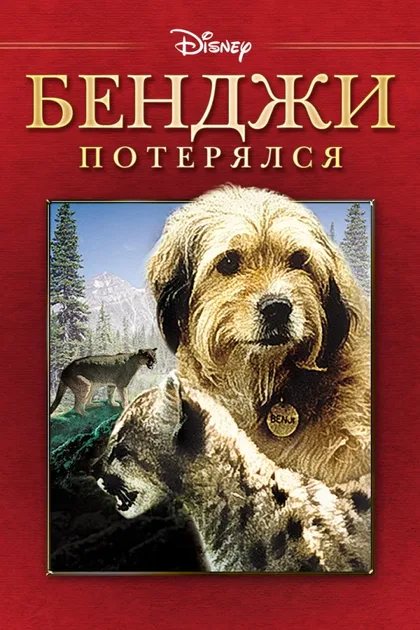 Смотреть Бенджи потерялся