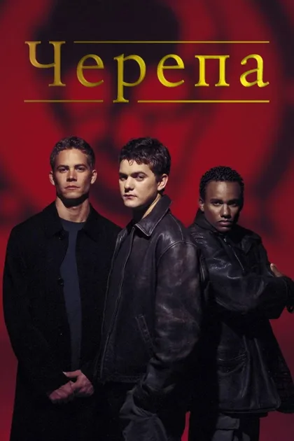 Черепа 1