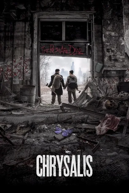 Фильм Куколка (2014)