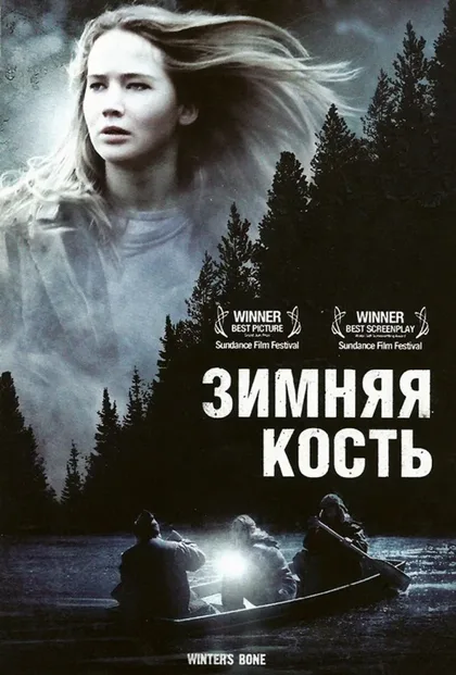 Фильм Зимняя кость (2010)