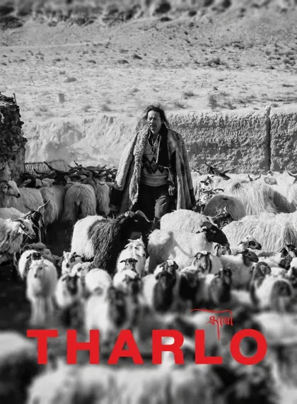 Фильм Тарло (2015)