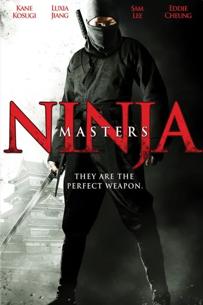 Фильм Паутина лжи (2009)