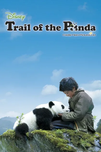 Фильм След панды (2009)