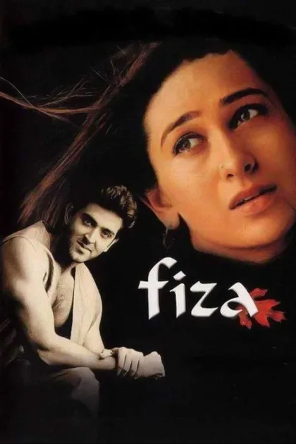 Фильм В поисках брата (2000)