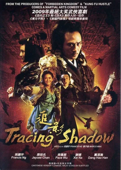 Фильм В погоне за тенью (2009)