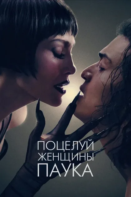 Фильм Поцелуй женщины-паука (2025)