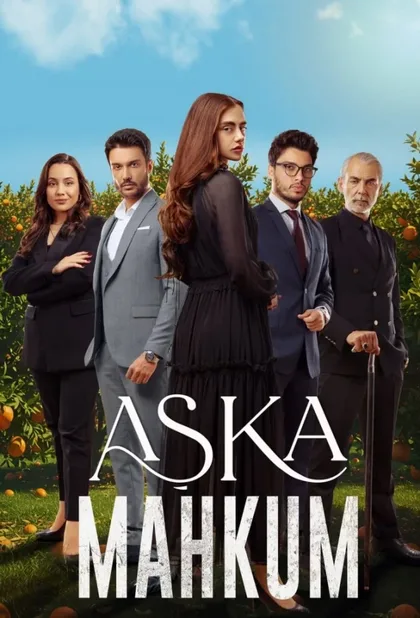 Фильм Заключенный любви (2025)