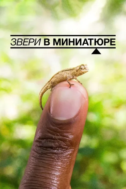 Фильм Звери в миниатюре (2017)