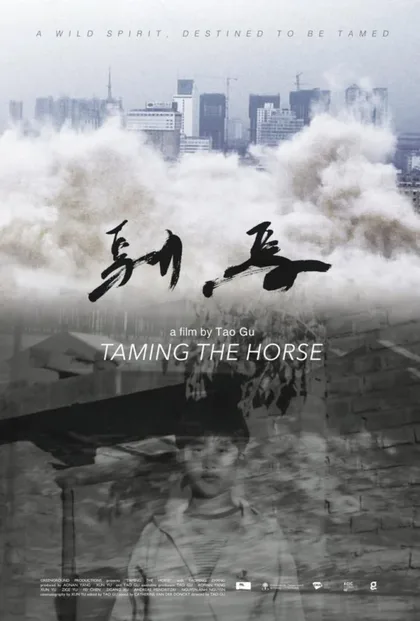 Фильм 驯马 (2017)