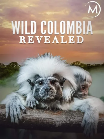 Фильм Colombia magia salvaje (2015)