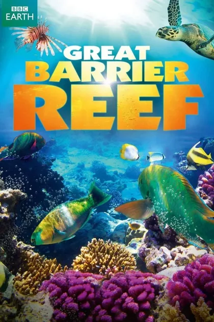 Фильм Большой барьерный риф (2012)