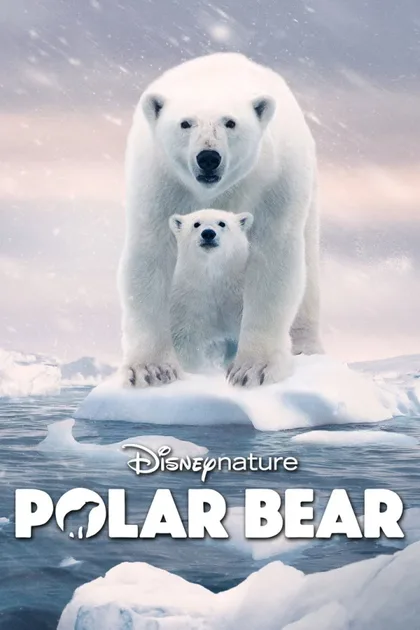 Фильм Белая медведица (2022)