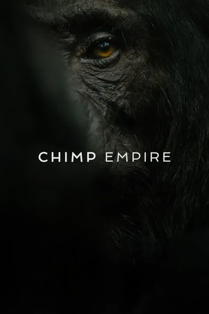 Фильм Империя шимпанзе (2023)