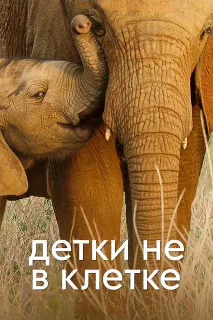 Фильм Детки не в клетке (2022)